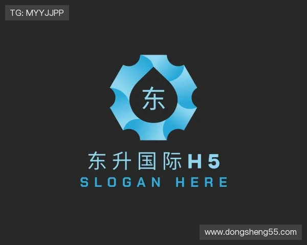 洞察东升国际h5